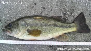 �֥�å��Х�