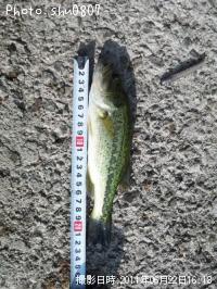 ¥Ö¥é¥Ã¥¯¥Ð¥¹