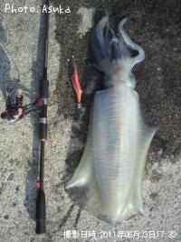 �����ꥤ��