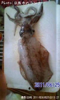 ¥¢¥ª¥ê¥¤¥«