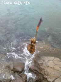 �����ꥤ��