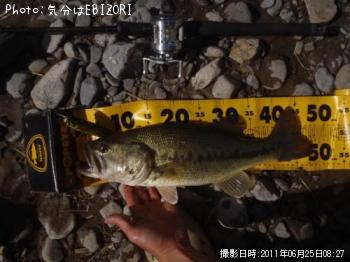 �֥�å��Х�