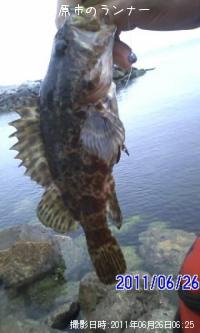 ¥¿¥±¥Î¥³¥á¥Ð¥ë