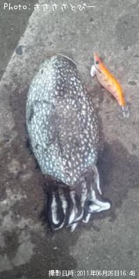 ¥·¥ê¥ä¥±¥¤¥«