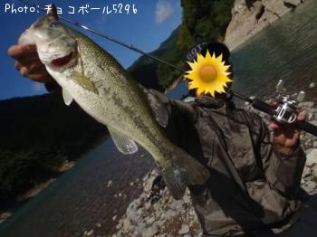 �֥�å��Х�