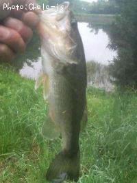 ¥Ö¥é¥Ã¥¯¥Ð¥¹