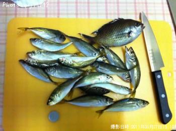 ���ʥ�������