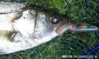 �����Х�