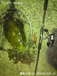 �����ꥤ��