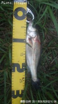 �����Х�