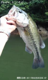 �֥�å��Х�