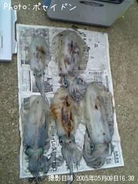 �����ꥤ��