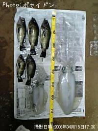 ��Х롦�����ꥤ��