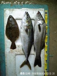 �ϥޥ����ҥ�ᡦ�����Х�