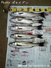 �����Х�