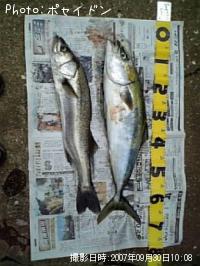 �ϥޥ��������Х�