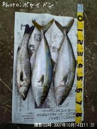 �ϥޥ��������Х�