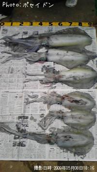 ¥¢¥ª¥ê¥¤¥«