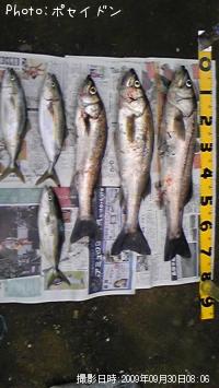 �����Х����䥺