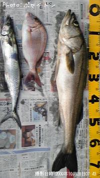 �����Х����ޥ�����������