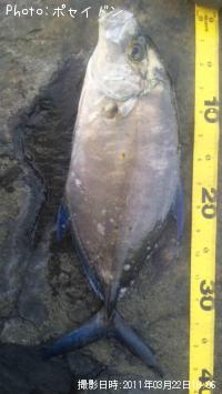 �����ߥ���