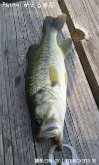 �֥�å��Х�