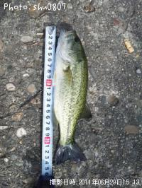 �֥�å��Х�