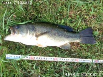 �֥�å��Х�