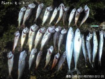 ���С���ġ����ޥ�