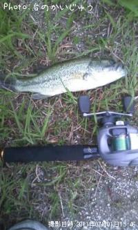 �֥�å��Х�