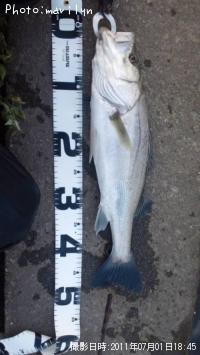 �����Х�