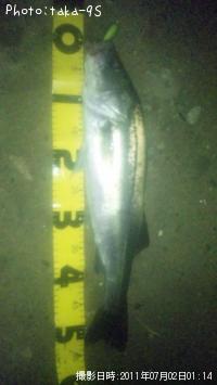 �����Х�