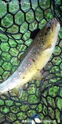 �֥饦��ȥ饦��