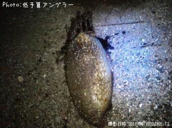 ¥·¥ê¥ä¥±¥¤¥«