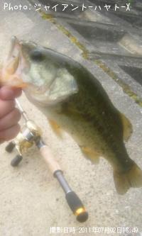 ¥Ö¥é¥Ã¥¯¥Ð¥¹