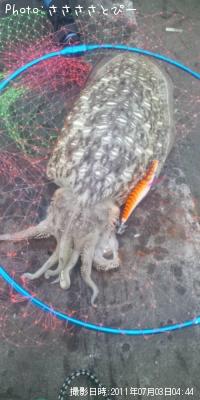 ��󥴥�����