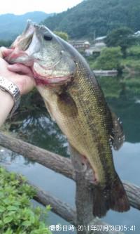 �֥�å��Х�