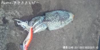 ����䥱����