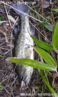 �֥�å��Х�