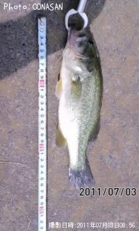 ¥Ö¥é¥Ã¥¯¥Ð¥¹