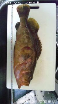 �����ϥ�