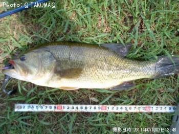 �֥�å��Х�