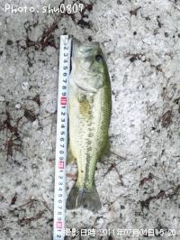 ¥Ö¥é¥Ã¥¯¥Ð¥¹