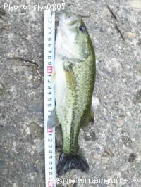 �֥�å��Х�