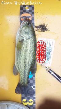 �֥�å��Х�