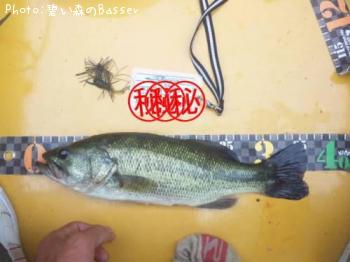 �֥�å��Х�