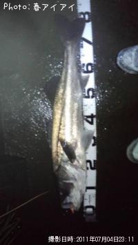 �����Х�