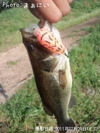 ¥Ö¥é¥Ã¥¯¥Ð¥¹