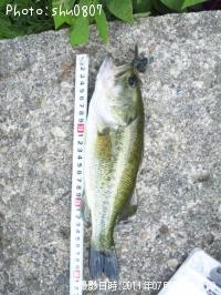 ¥Ö¥é¥Ã¥¯¥Ð¥¹