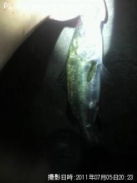 �����Х�